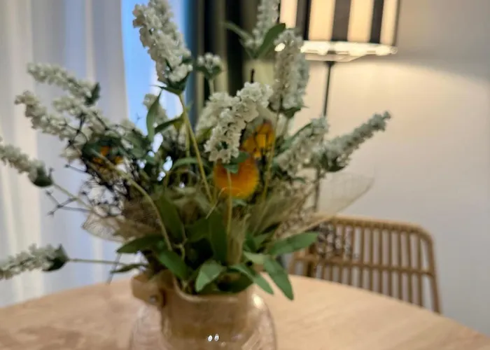 Carolina Centro Appartement